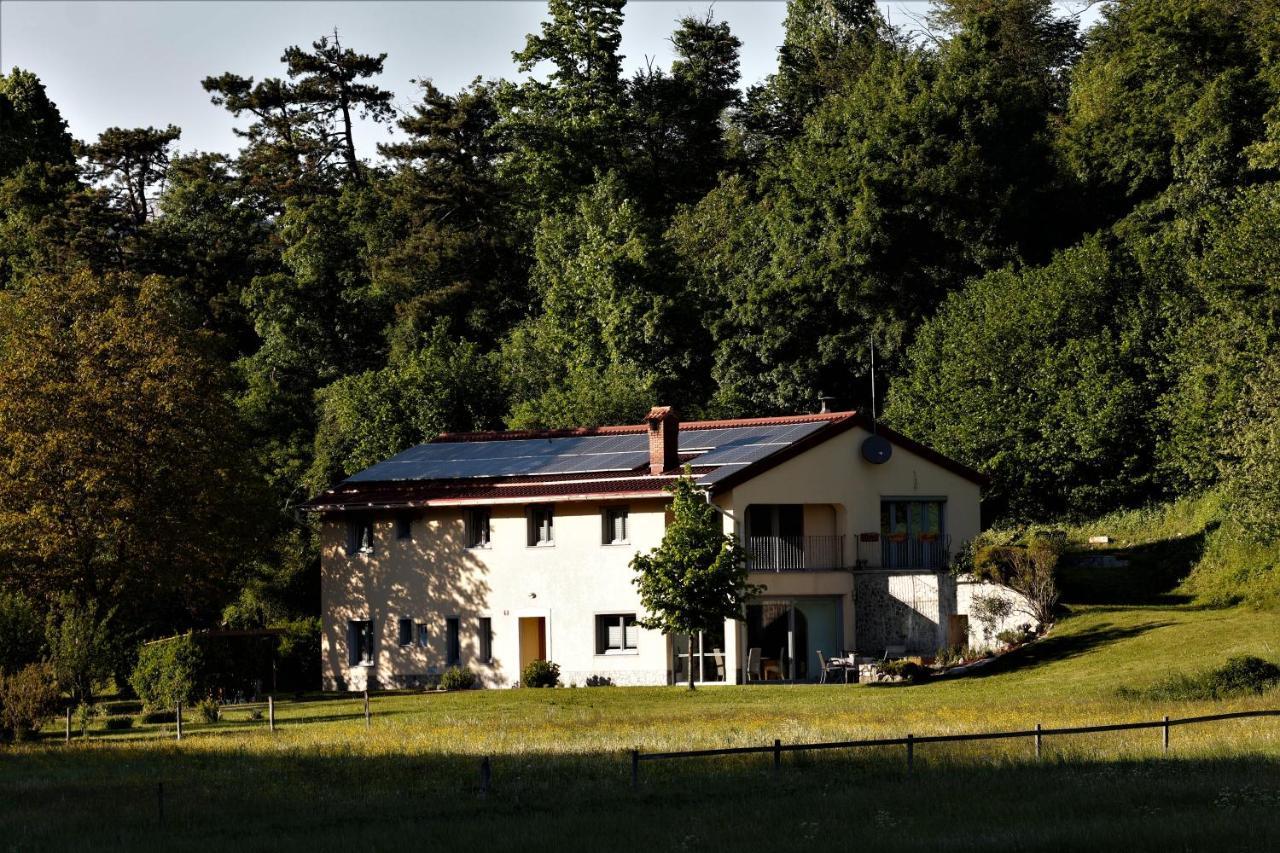 Guesthouse Idila Pod Nanosom Senozece Exteriör bild
