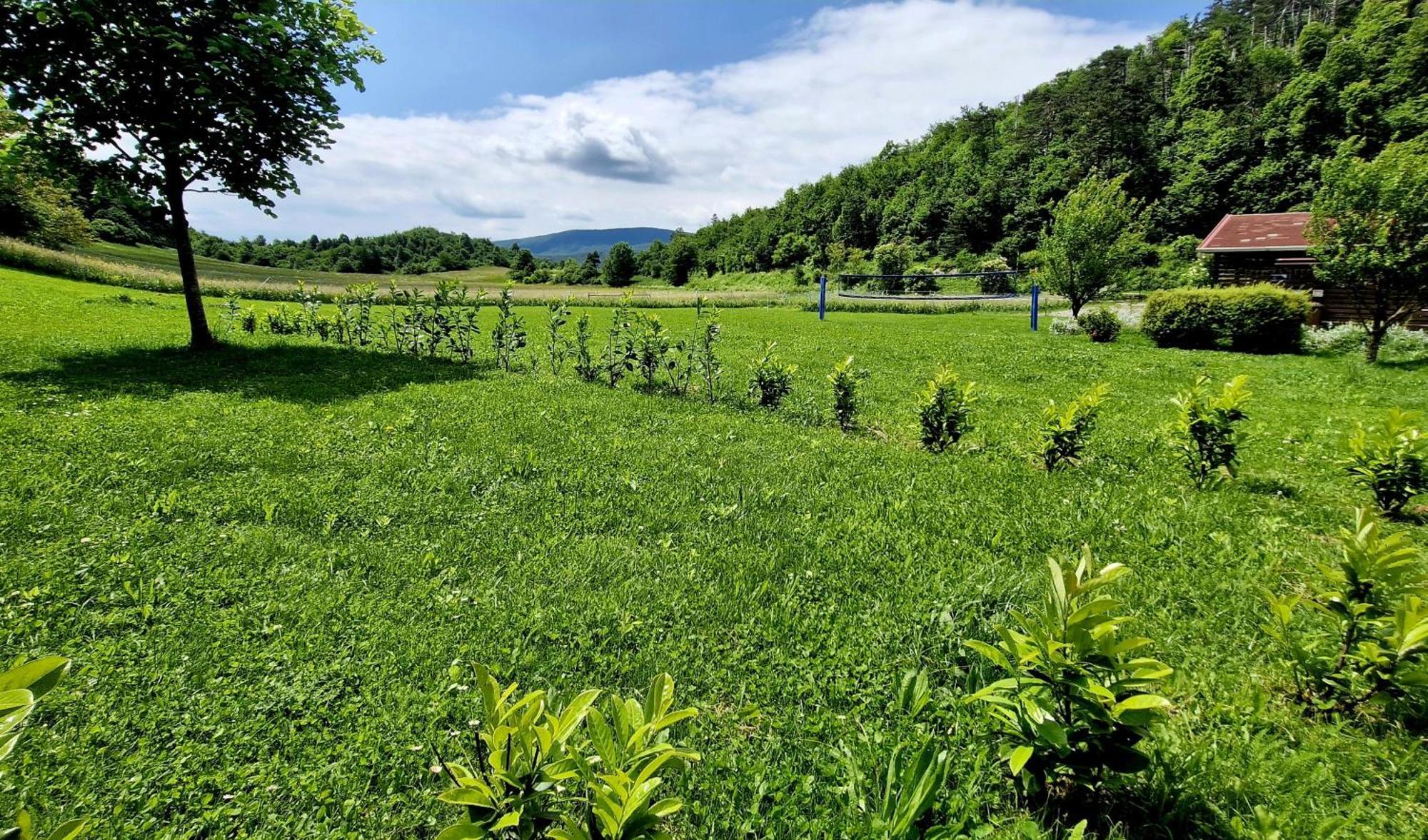 Guesthouse Idila Pod Nanosom Senozece Exteriör bild